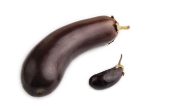 Two Eggplants big and small isolated on white background, side view, close up, minimalism