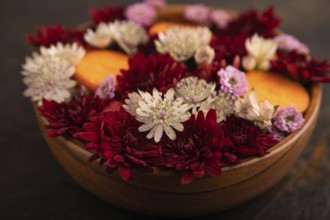 Wooden bowl with carrot slices and red Chrysanthemum flowers, Astrantia flowers, flower salad on