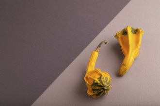 Two decorative orange Pumpkins on beige and gray pastel paper background, side view, copy space,