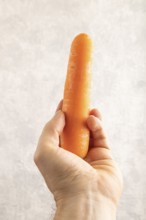 Orange Carrot with hand on gray concrete background. Top view, close up, flat lay. healthy food,