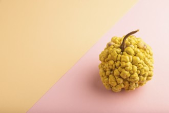 Decorative orange Pumpkin with tumors on pink and orange pastel paper background, side view, copy