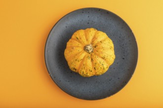 Orange Pumpkin on blue plate on orange pastel paper background. Top view, copy space, flat lay.
