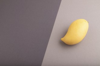 Orange mango on black and gray paper pastel background. Side view, copy space. healthy food,
