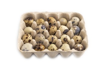 Pile of Raw Quail eggs isolated on white background. side view, close up