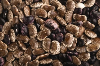 Kidney beans texture, top view, flat lay, minimalism, close up