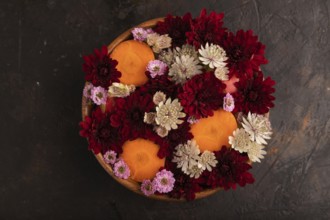 Wooden bowl with carrot slices and red Chrysanthemum flowers, Astrantia flowers, flower salad on