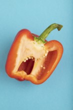 Red Cutted pepper on blue pastel background. Top view, flat lay, copy space. Tropical, healthy