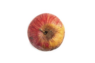 Decaying, Rotting apples isolated on white background. Top view, copy space, flat lay, minimalism