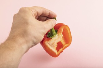 Hand holding sliced Red Cutted pepper on pink pastel background. Side view, copy space. Tropical,