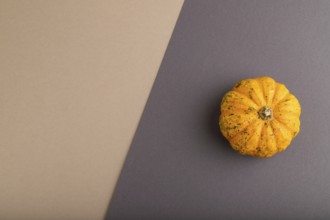 Orange Pumpkin on beige and gray pastel paper background. Top view, copy space, flat lay. healthy