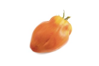 Red Heart Shape tomato isolated on white background. Side view, copy space. healthy food,