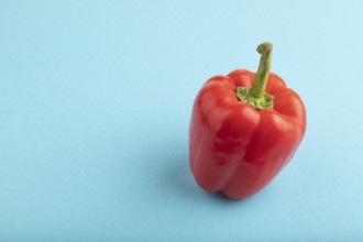 Red pepper on blue pastel background. Side view, copy space. healthy food, vegetable, minimalism