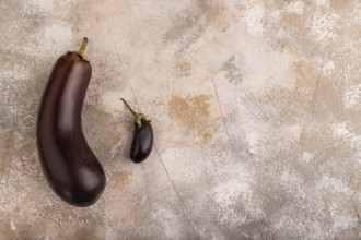 Two Eggplants big and small on brown concrete background, top view, flat lay, copy space,