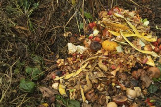 Compost pile made of organic food, leaves, vegetable and fruit Waste mix, Zero waste and Eco