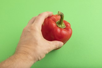 Hand holding Red pepper on green pastel background. Side view, copy space. healthy food, vegetable,