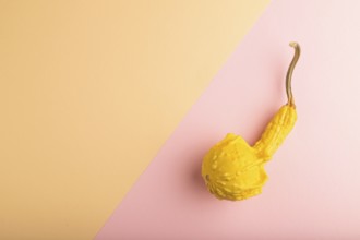 Decorative orange Pumpkin on pink and orange pastel paper background, top view, flat lay, copy