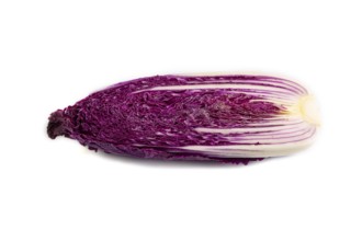 Purple Chinese cabbage isolated on white background, side view, close up, minimalism