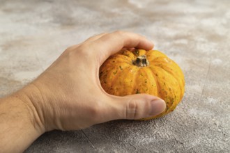Orange Pumpkin with hand on gray concrete background. Side view, healthy food, vegetable,