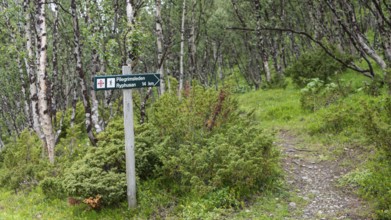 Signpost with the inscription Pilgrimsleden Ryphusan, Kongevegen or Kingsroad, Pilgrimsleden