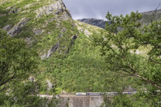 Dovrebanen train, Drivdalen valley, Oppdal municipality, Trøndelag county, Norway