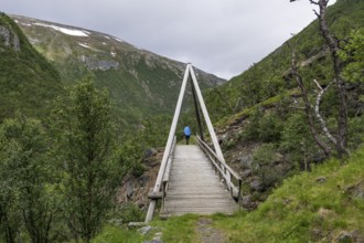 Hiker with rucksack and blue raincoat crosses wooden bridge, Kongevegen or Kingsroad, pilgrimage