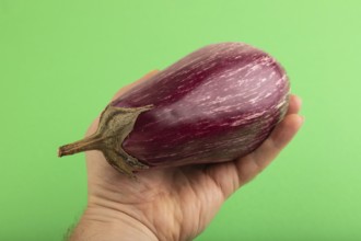 Hand holding Purple eggplant with white stripes on green pastel background. Top view, flat lay,