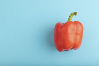 Red pepper on blue pastel background. Top view, flat lay, copy space. healthy food, vegetable,