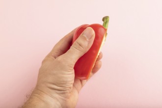 Hand holding sliced Red Cutted pepper on pink pastel background. Side view, copy space. Tropical,