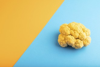 Yellow Cauliflower on blue and orange pastel paper background. Side view, copy space. healthy food,