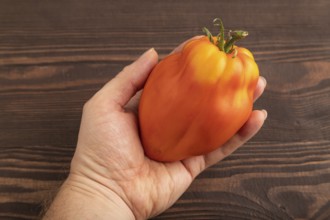 Red Heart Shape tomato with hand on brown wooden background. Top view, flat lay, close up. healthy