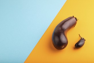 Two Eggplants big and small on blue and orange pastel paper background, side view, copy space,