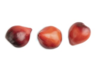 Red Heart shape tomatoes isolated on white background. Top view, copy space, flat lay, healthy