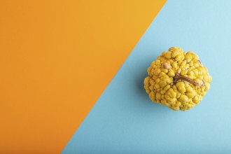 Decorative orange Pumpkin with tumors on blue and orange pastel paper background, top view, flat