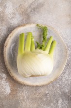 Fresh Fennel bulb on blue plate on brown concrete background, top view, flat lay, copy space,