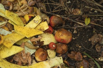 Compost pile made of organic food, leaves, vegetable and fruit Waste mix, Zero waste and Eco