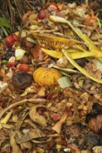 Compost pile made of organic food, leaves, vegetable and fruit Waste mix, Zero waste and Eco