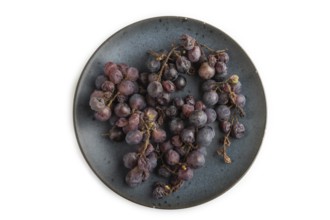 Bunches of rotten and Dry Red wine grapes on blue plate isolated on white background, harvest,