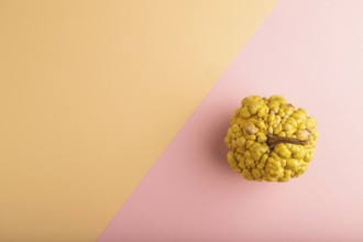 Decorative orange Pumpkin with tumors on pink and orange pastel paper background, top view, flat