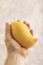 Orange mango with hand on concrete background. Side view, copy space. healthy food, minimalism