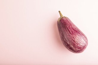 Purple eggplant with white stripes on pink pastel background. Top view, flat lay, copy space.