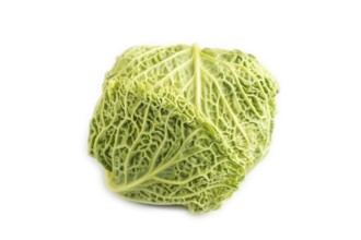 Green lettuce isolated on white background. Side view. healthy food, vegetable, minimalism