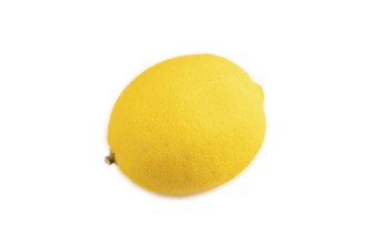 Yellow Lemon isolated on white background. Side view, close up. healthy food, vegetable, minimalism