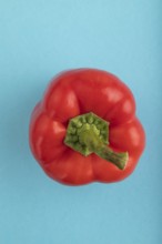 Red pepper on blue pastel background. Top view, flat lay, copy space. healthy food, vegetable,