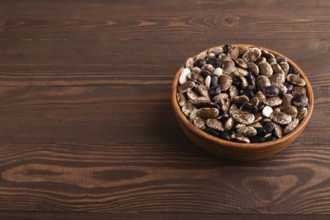 Wooden bowl with Kidney beans on brown wooden background, side view, copy space, minimalism