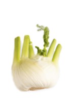 Fresh Fennel bulb isolated on white background, top view, flat lay, copy space, minimalism