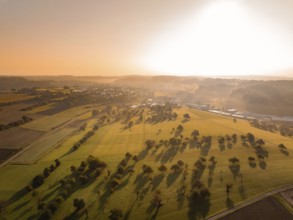 Sonnenuntergang über Feldern mit langen Baumschatten in warmem Licht, Gechingen, Heckengäu,