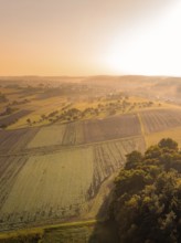 Luftaufnahme einer ländlichen Landschaft bei Sonnenaufgang und leichtem Nebel, Gechingen,