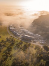 Nebel umhüllt Industriegebäude und Bäume in einer weichen Morgenlichtstimmung, Gechingen,