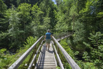 Brücke über die krumme Steyrling, Molln, Oberösterreich, Österreich