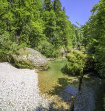 Reste einer Wehranlage, Wanderung entlang der Krummen Steyrling, Molln, Oberösterreich, Österreich